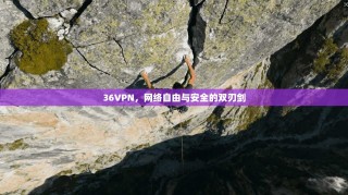 36VPN，网络自由与安全的双刃剑