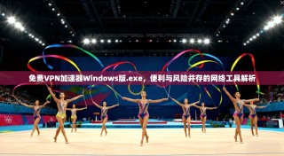 免费VPN加速器Windows版.exe，便利与风险并存的网络工具解析