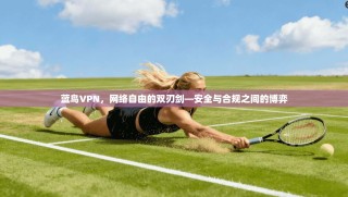 蓝鸟VPN，网络自由的双刃剑—安全与合规之间的博弈
