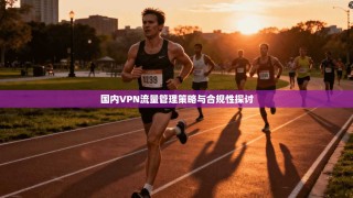 国内VPN流量管理策略与合规性探讨