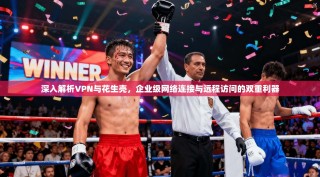 深入解析VPN与花生壳，企业级网络连接与远程访问的双重利器