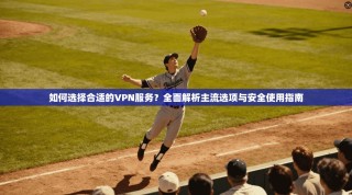 如何选择合适的VPN服务？全面解析主流选项与安全使用指南