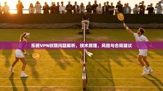 乐视VPN权限问题解析，技术原理、风险与合规建议
