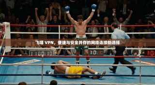 飞喵 VPN，便捷与安全并存的网络连接新选择