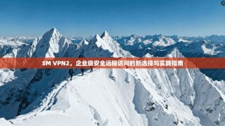 SM VPN2，企业级安全远程访问的新选择与实践指南