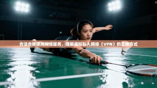合法合规使用网络服务，理解虚拟私人网络（VPN）的正确方式