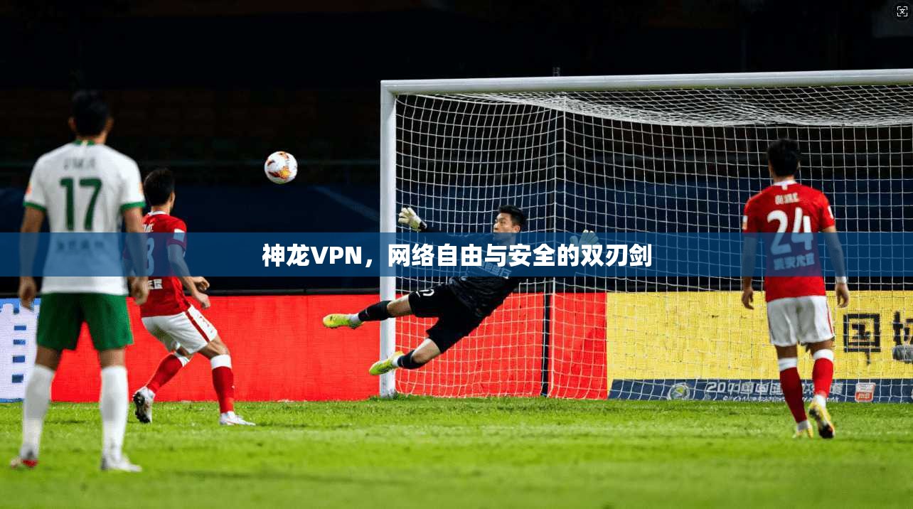 神龙VPN，网络自由与安全的双刃剑  第1张
