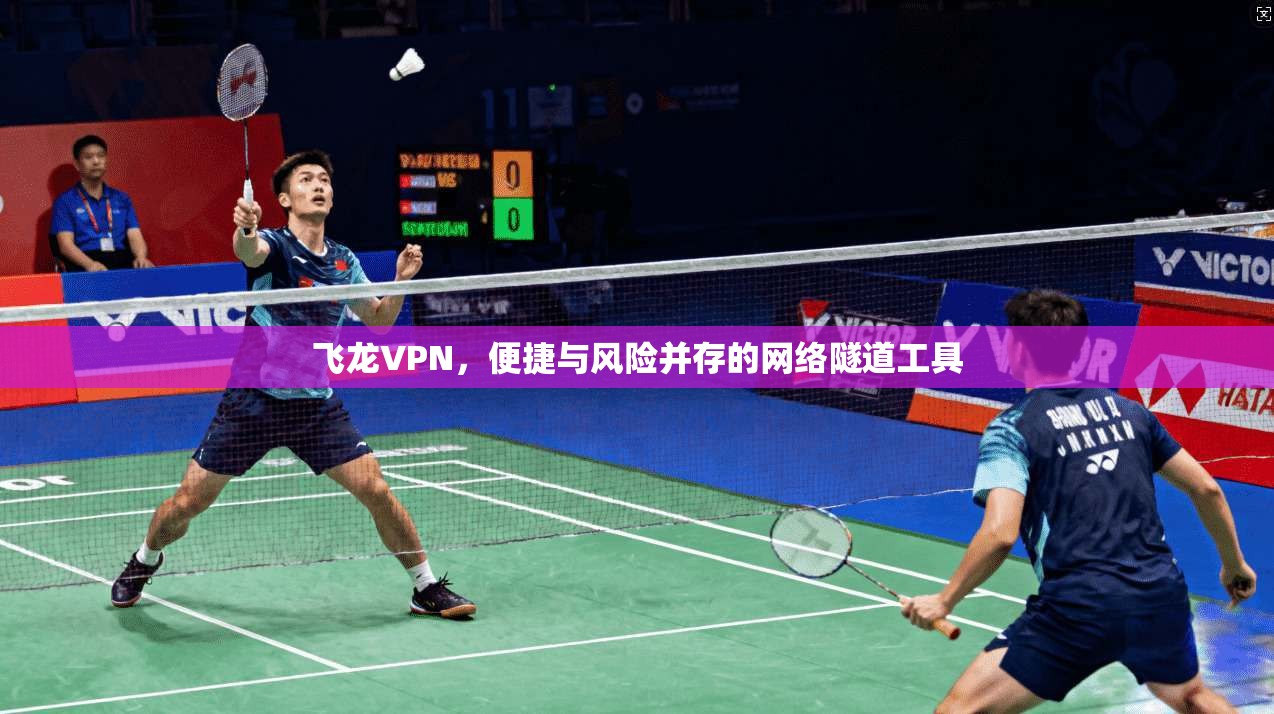 飞龙VPN,便捷与风险并存的网络隧道工具 第1张 飞龙VPN,便捷与风险并存的网络隧道工具 第1张