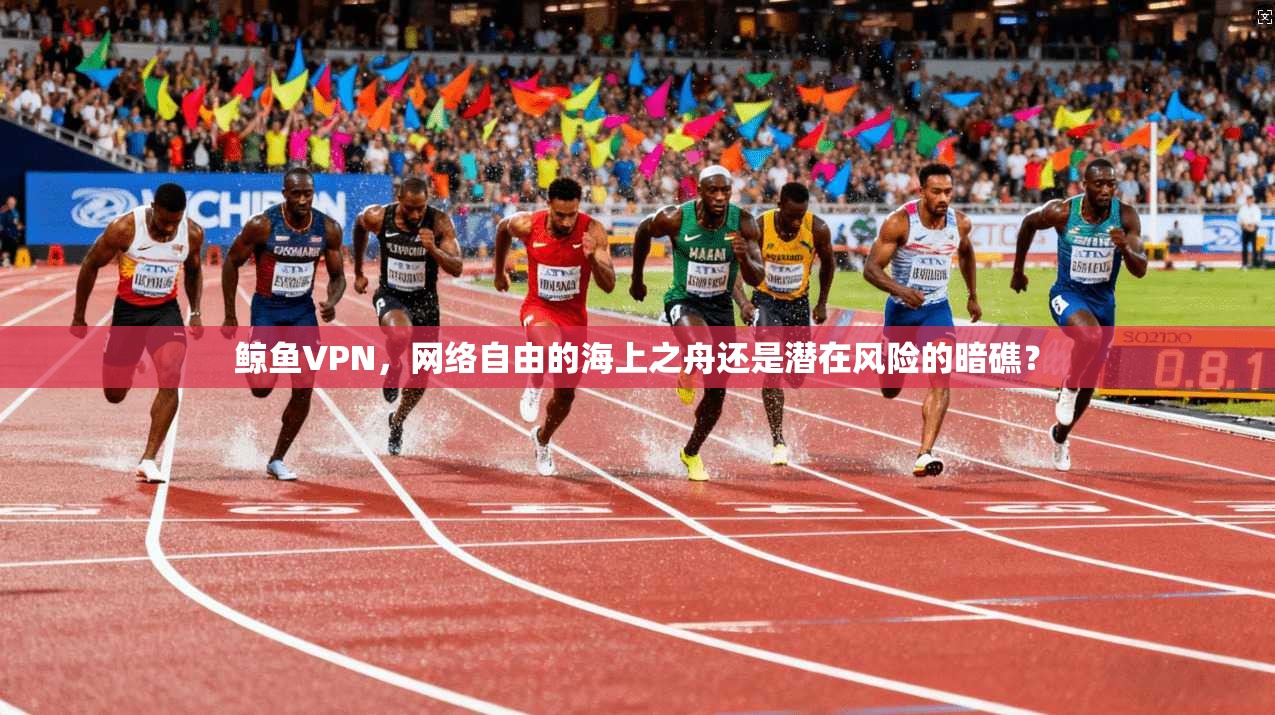 鲸鱼VPN，网络自由的海上之舟还是潜在风险的暗礁？  第1张
