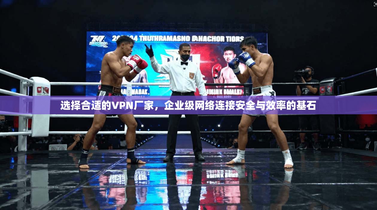 选择合适的VPN厂家，企业级网络连接安全与效率的基石  第1张