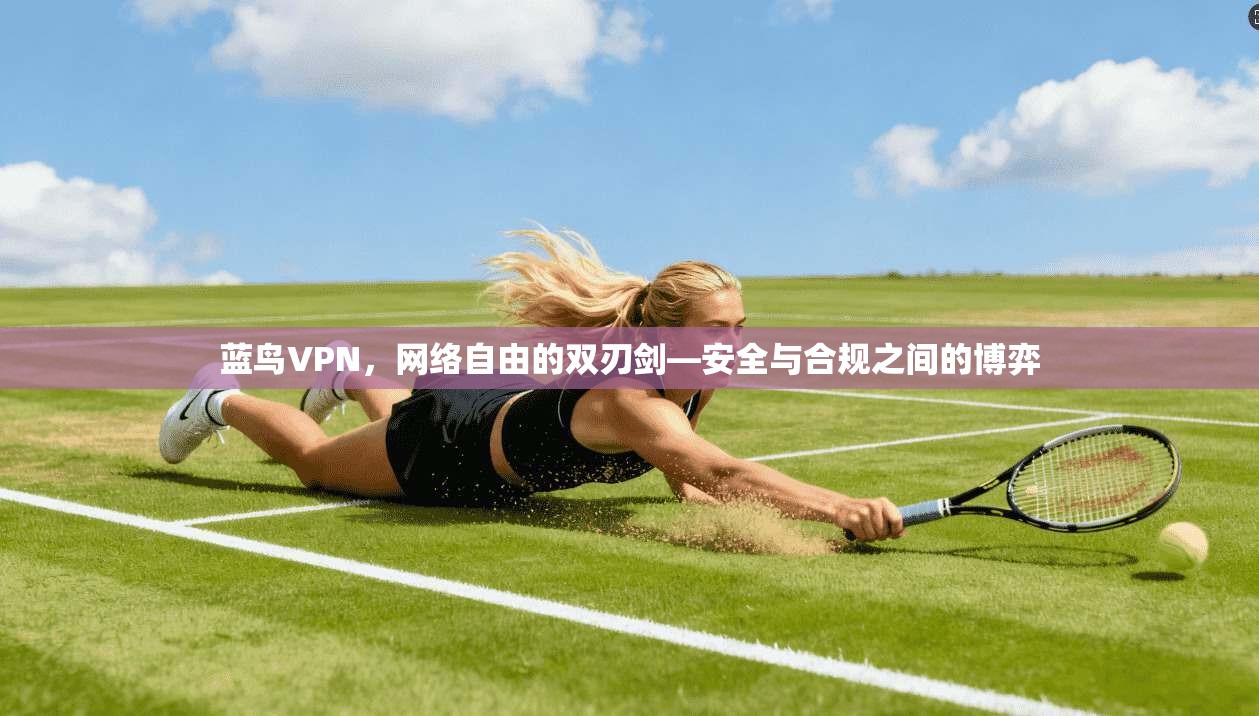 蓝鸟VPN,网络自由的双刃剑—安全与合规之间的博弈 第1张 蓝鸟VPN,网络自由的双刃剑—安全与合规之间的博弈 第1张