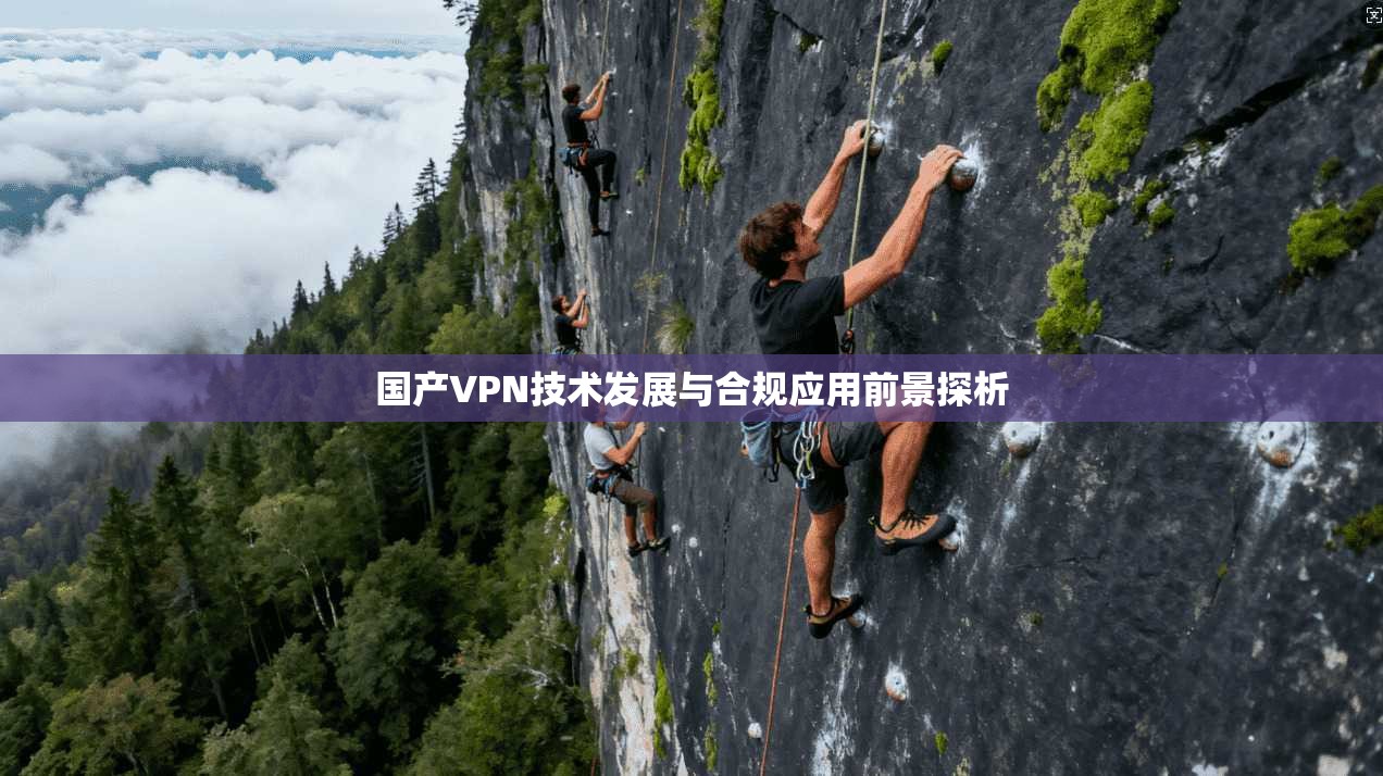 国产VPN技术发展与合规应用前景探析  第1张