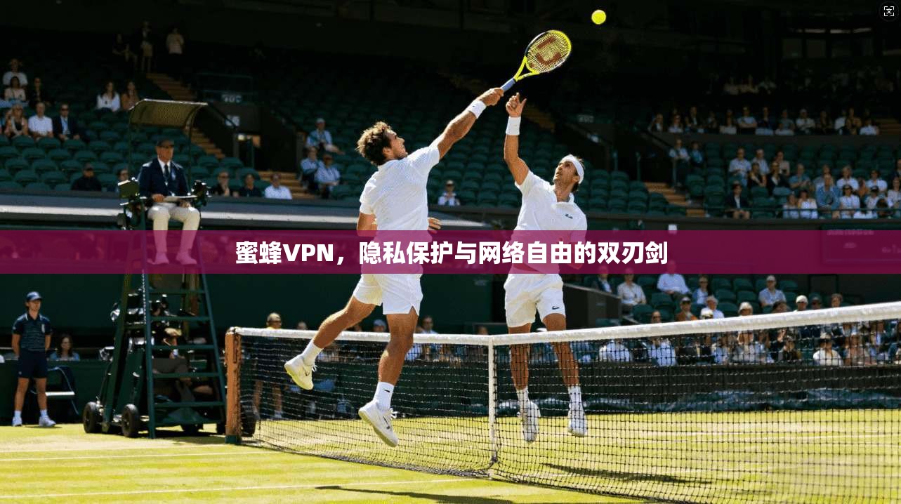 蜜蜂VPN，隐私保护与网络自由的双刃剑  第1张