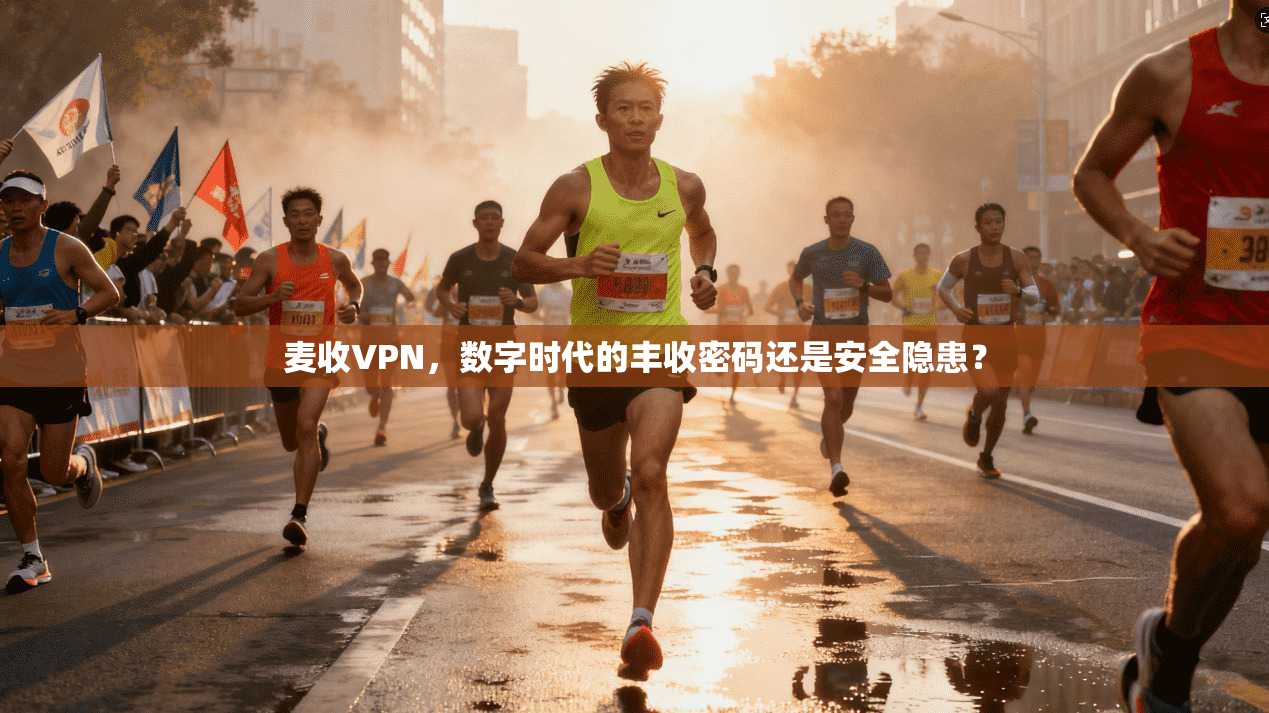 麦收VPN，数字时代的丰收密码还是安全隐患？  第1张