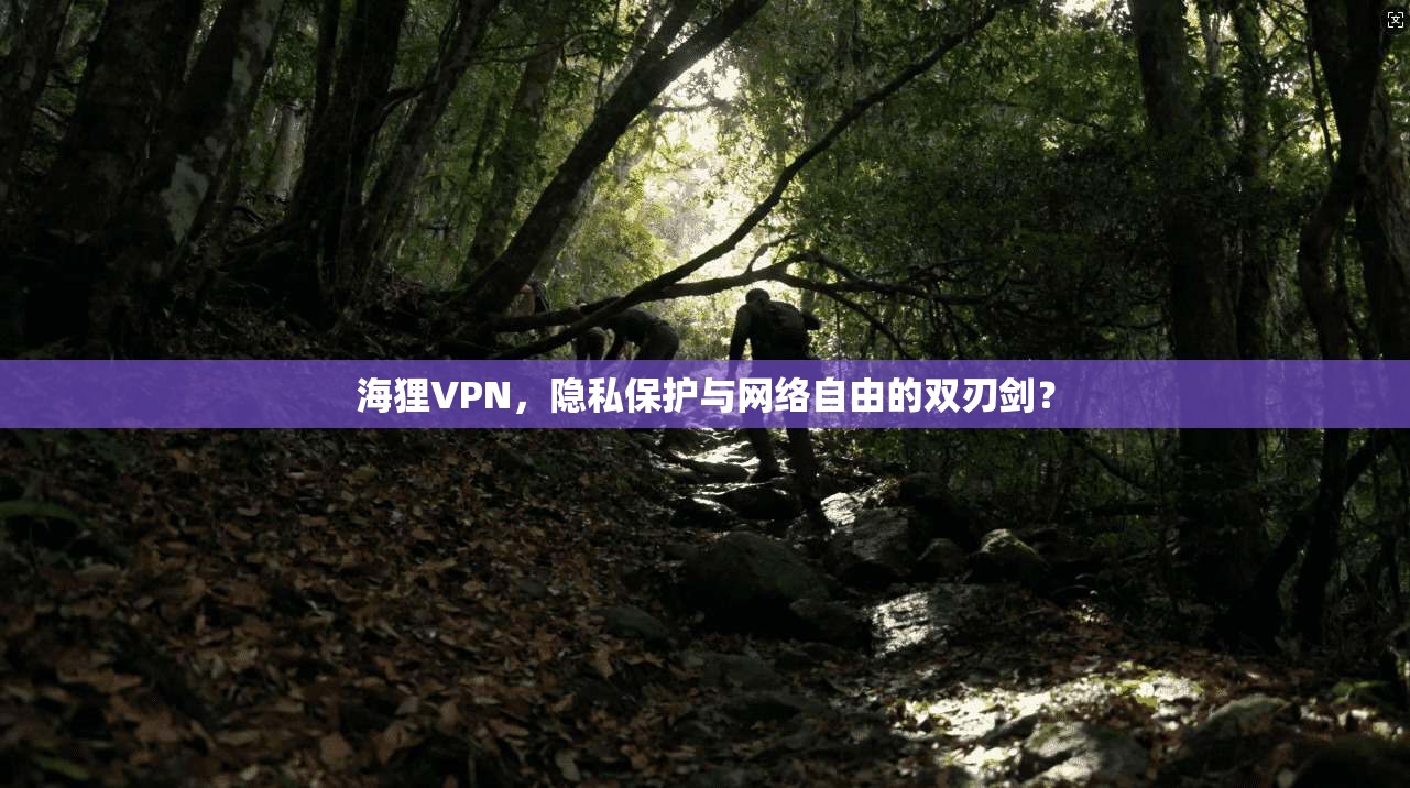 海狸VPN，隐私保护与网络自由的双刃剑？  第1张