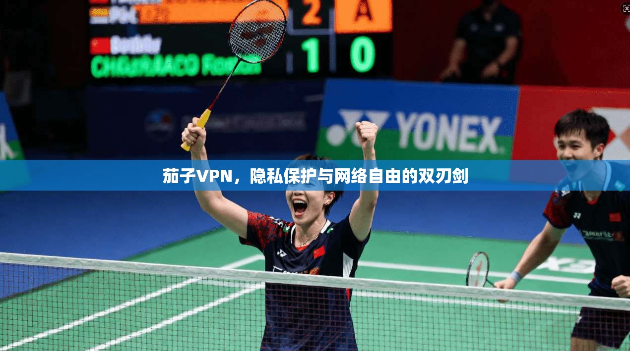 茄子VPN，隐私保护与网络自由的双刃剑  第1张
