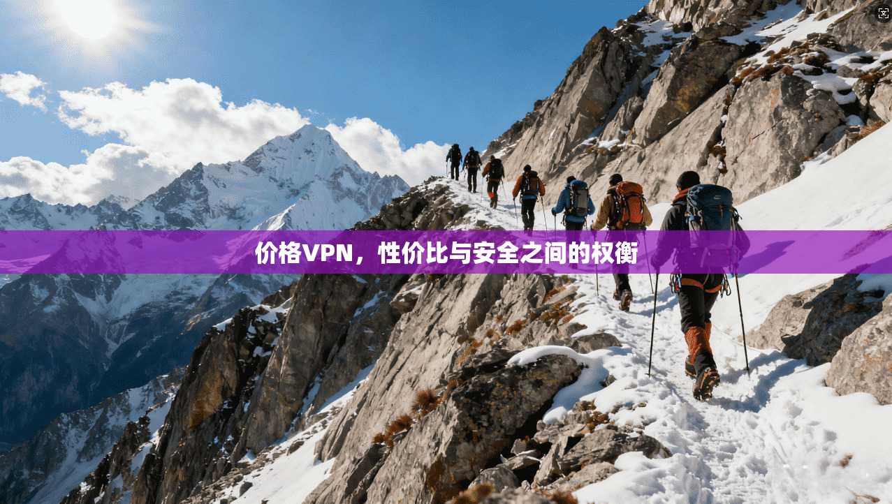 价格VPN，性价比与安全之间的权衡  第1张