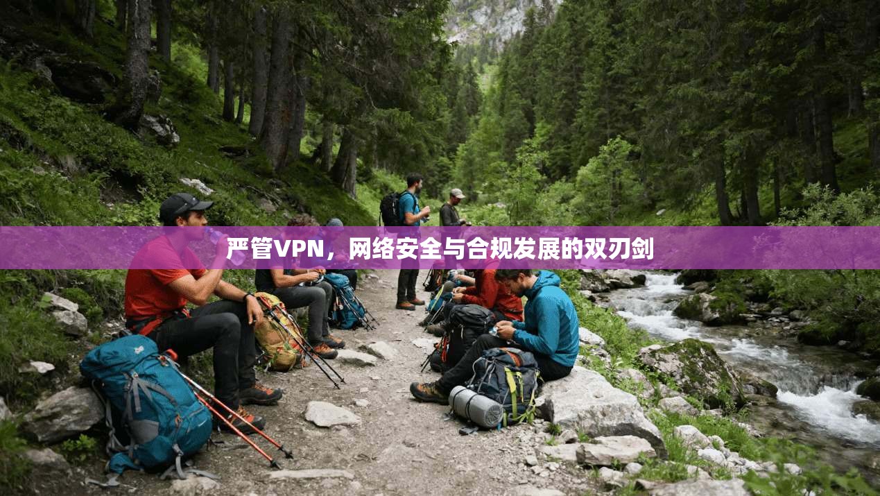 严管VPN，网络安全与合规发展的双刃剑  第1张