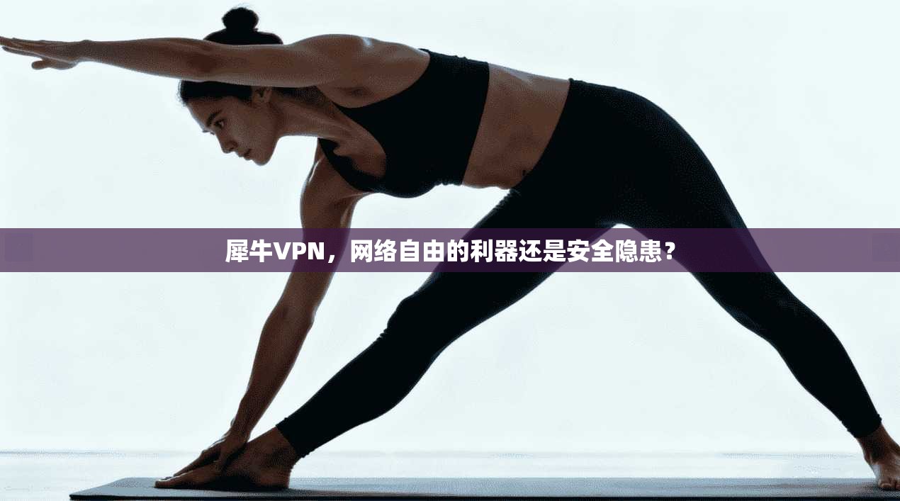犀牛VPN，网络自由的利器还是安全隐患？  第1张