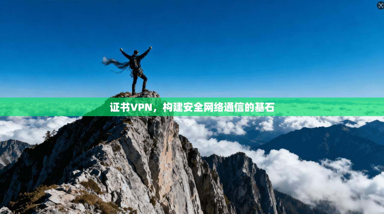 证书VPN，构建安全网络通信的基石  第1张