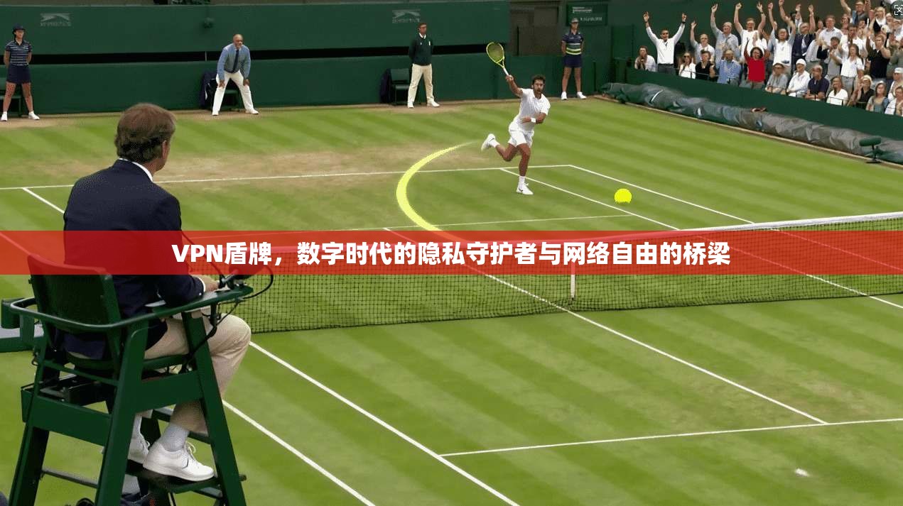 VPN盾牌，数字时代的隐私守护者与网络自由的桥梁  第1张