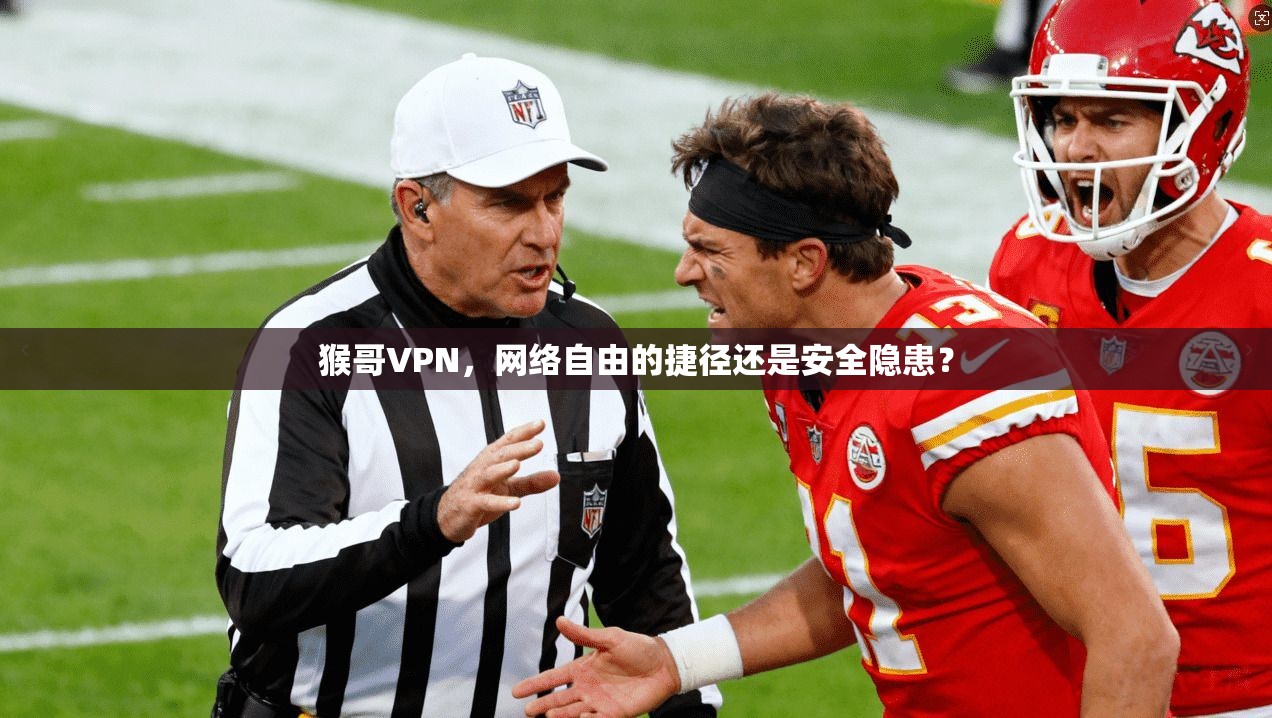 猴哥VPN，网络自由的捷径还是安全隐患？  第1张