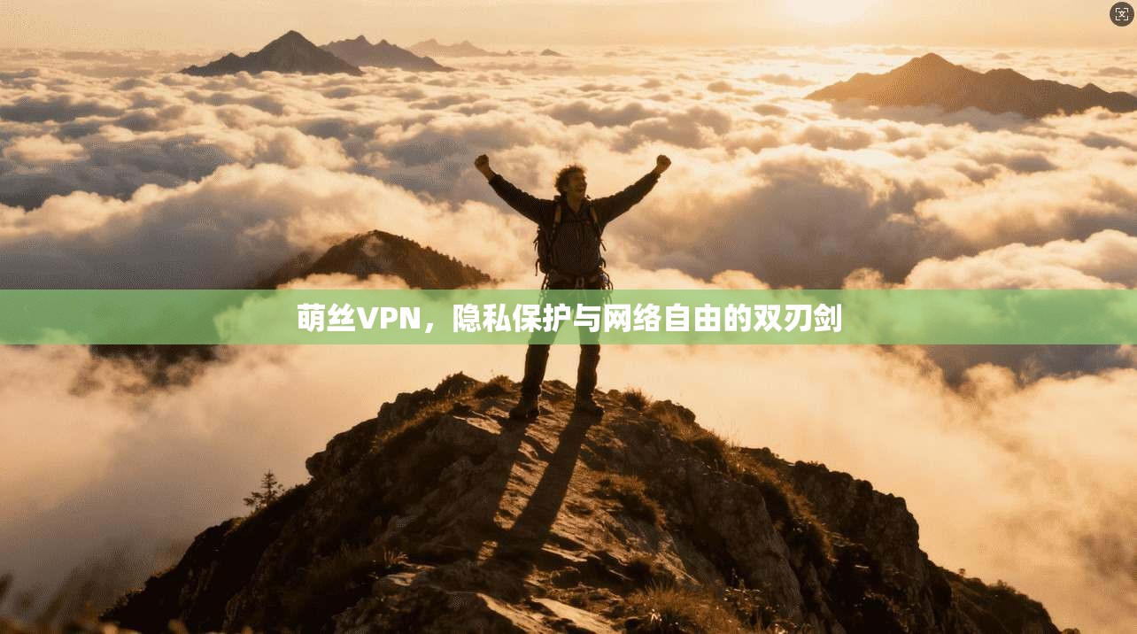 萌丝VPN，隐私保护与网络自由的双刃剑  第1张