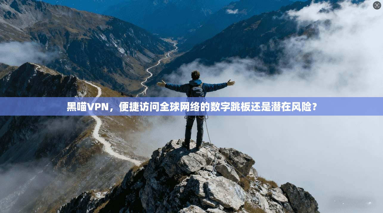 黑喵VPN，便捷访问全球网络的数字跳板还是潜在风险？  第1张