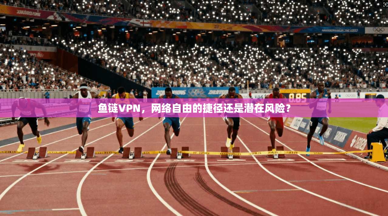 鱼链VPN，网络自由的捷径还是潜在风险？  第1张