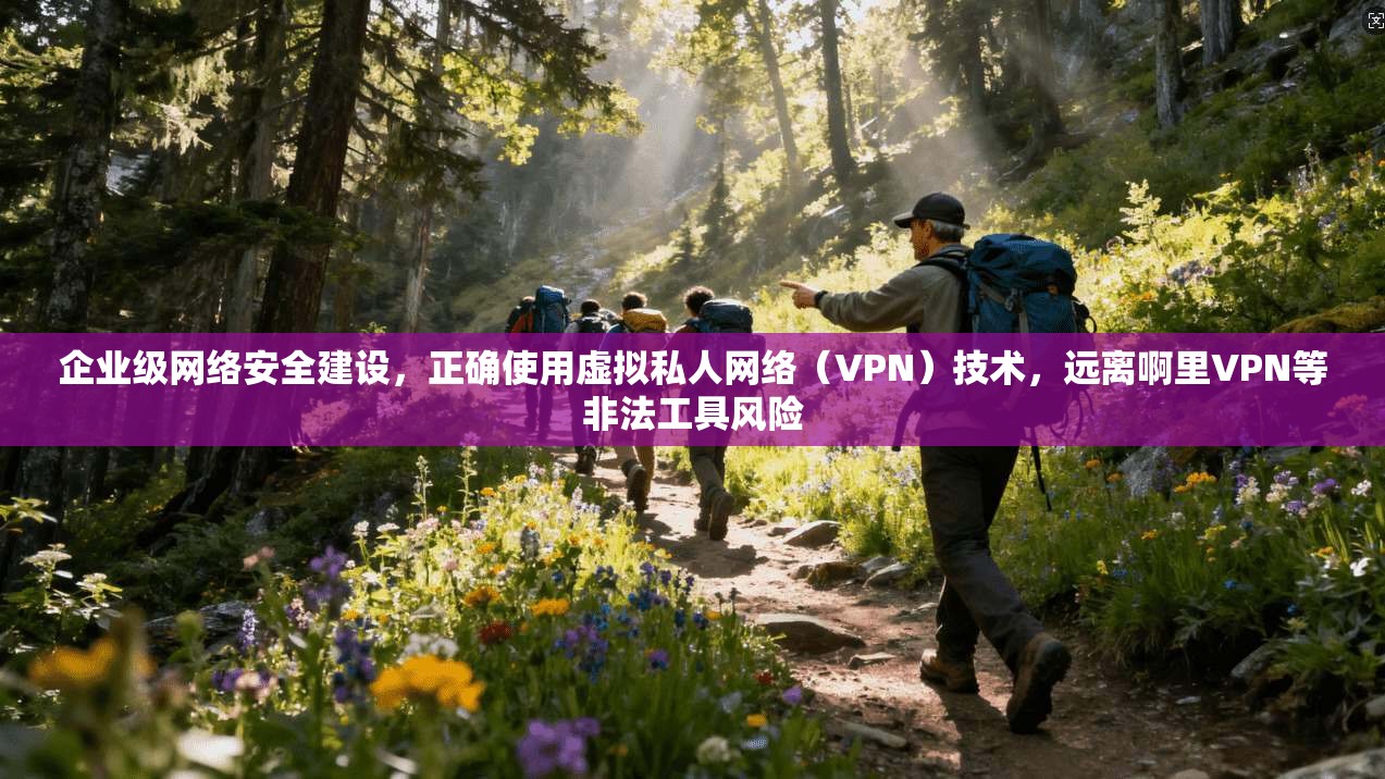 企业级网络安全建设，正确使用虚拟私人网络（VPN）技术，远离啊里VPN等非法工具风险  第1张