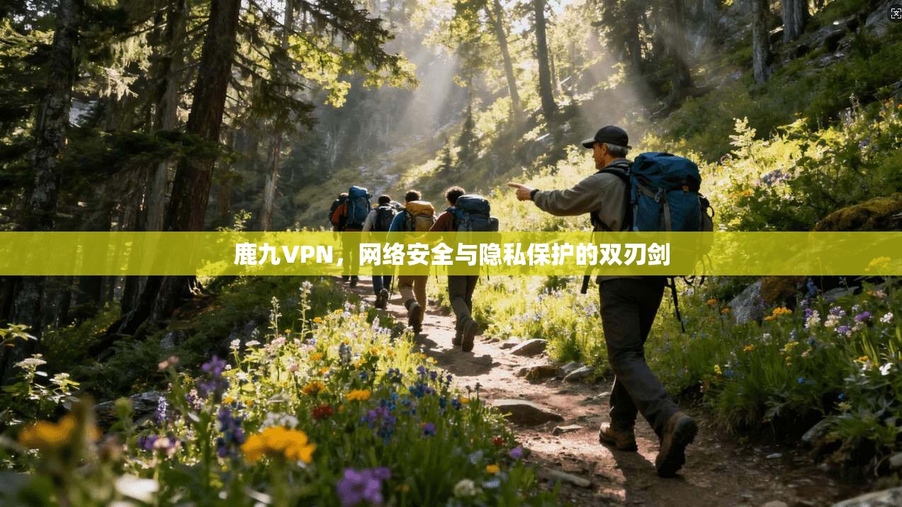 鹿九VPN，网络安全与隐私保护的双刃剑  第1张