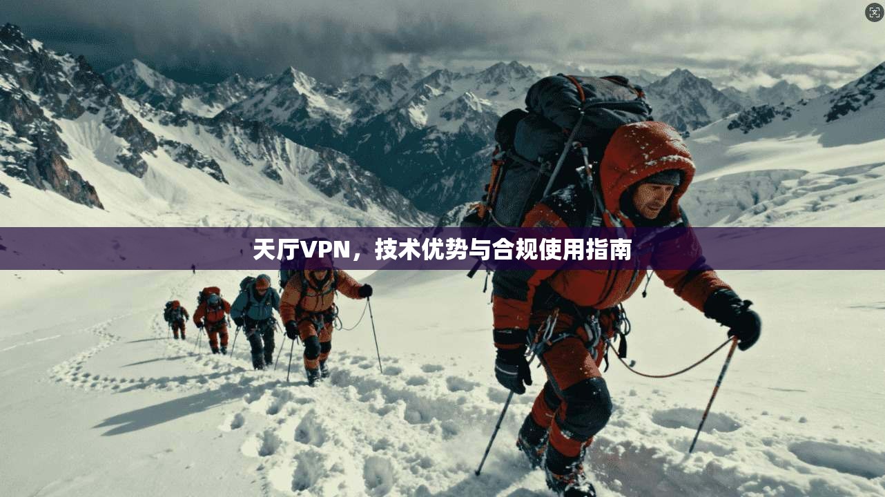 天厅VPN，技术优势与合规使用指南  第1张