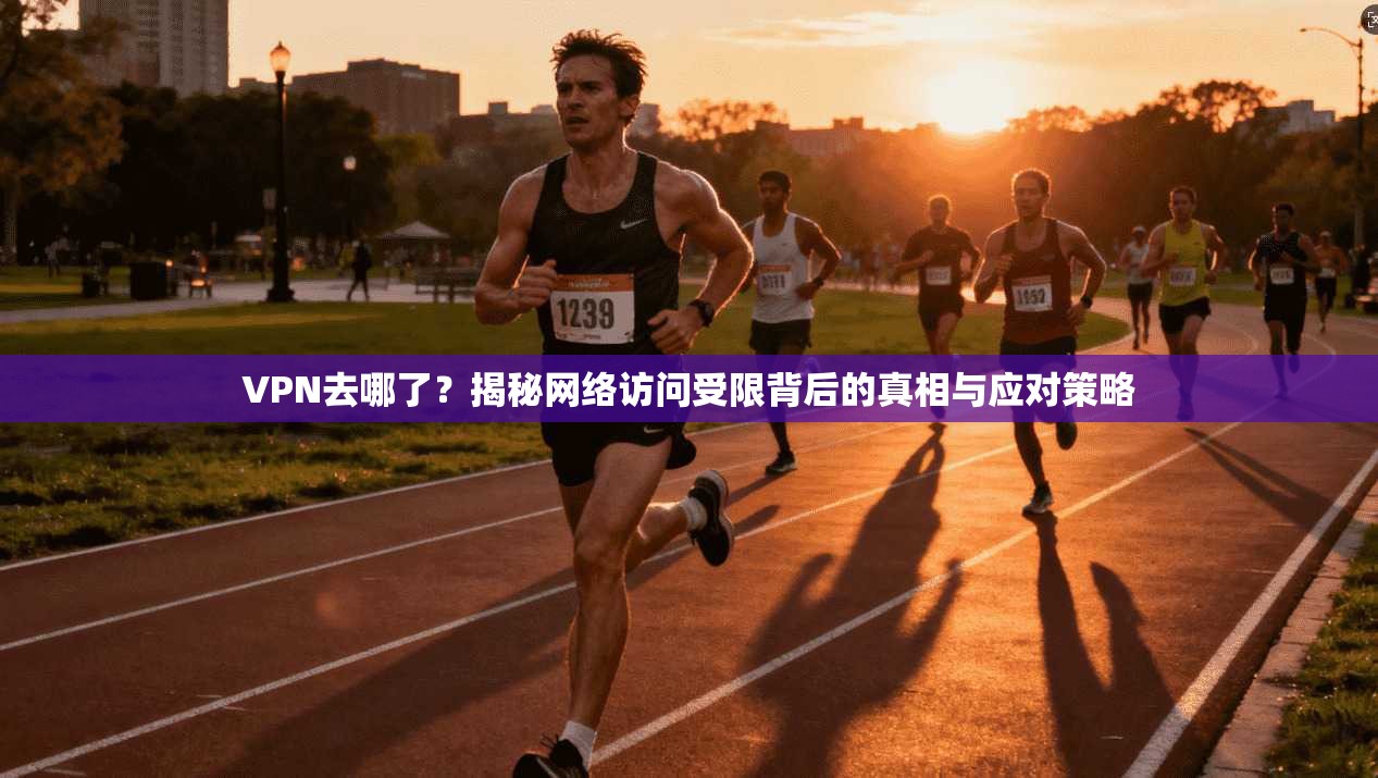 VPN去哪了？揭秘网络访问受限背后的真相与应对策略  第1张