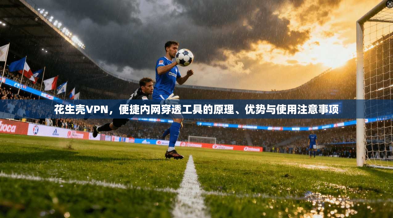 花生壳VPN，便捷内网穿透工具的原理、优势与使用注意事项  第1张