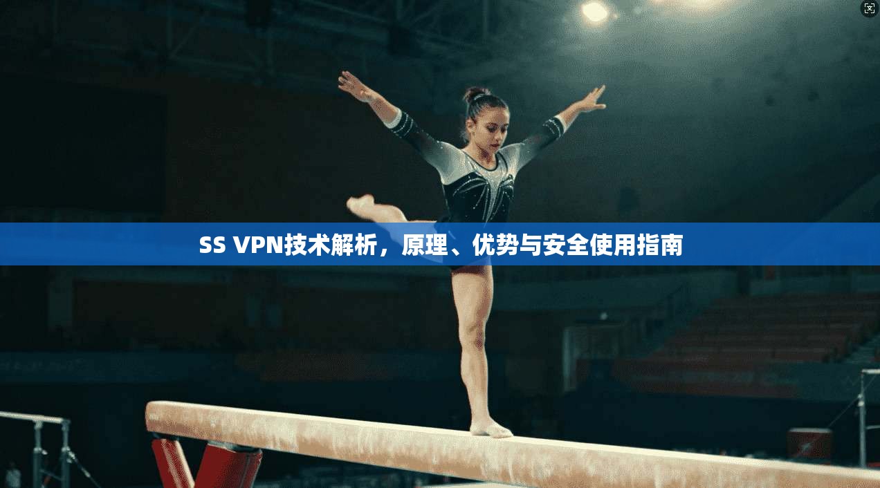 SS VPN技术解析，原理、优势与安全使用指南  第1张