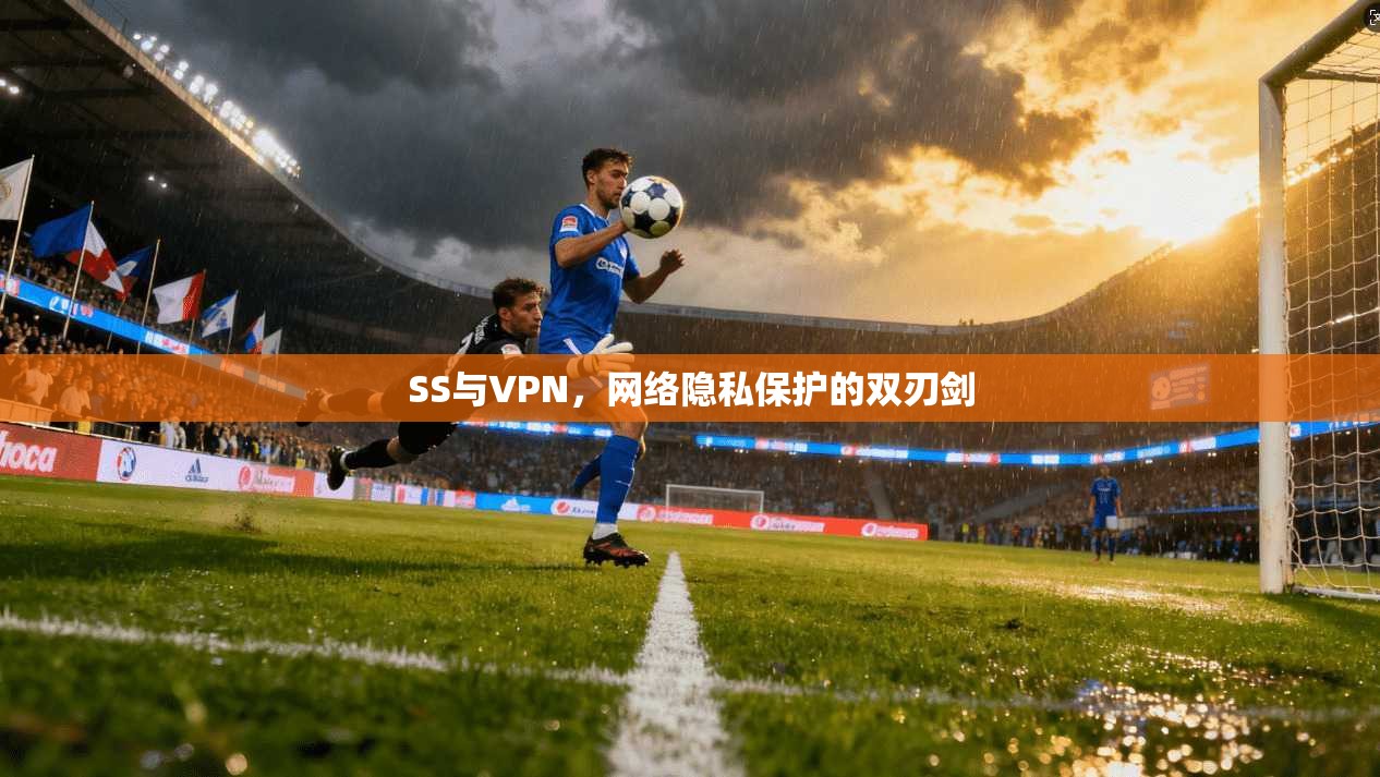 SS与VPN，网络隐私保护的双刃剑  第1张