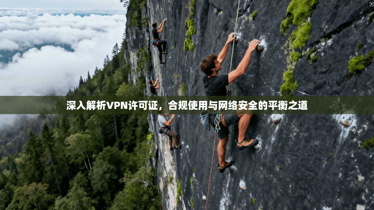深入解析VPN许可证，合规使用与网络安全的平衡之道  第1张