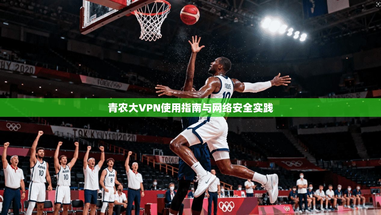 青农大VPN使用指南与网络安全实践  第1张
