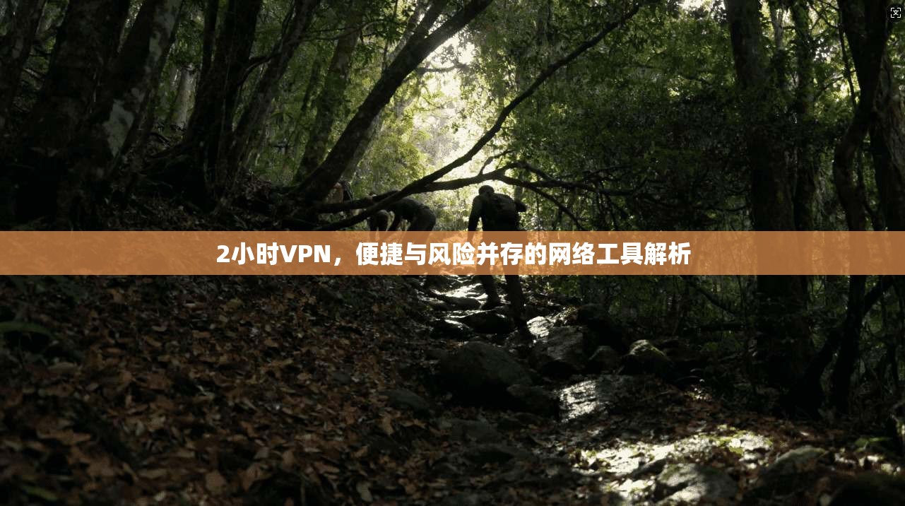 2小时VPN，便捷与风险并存的网络工具解析  第1张