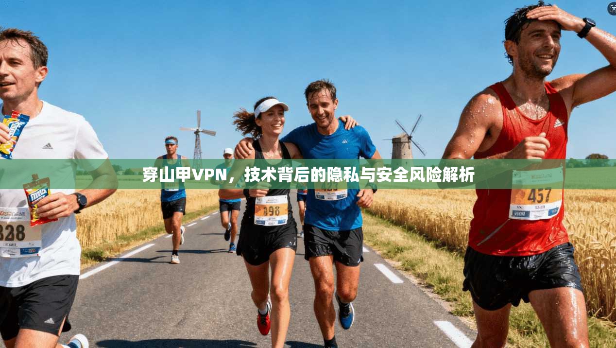 穿山甲VPN，技术背后的隐私与安全风险解析  第1张