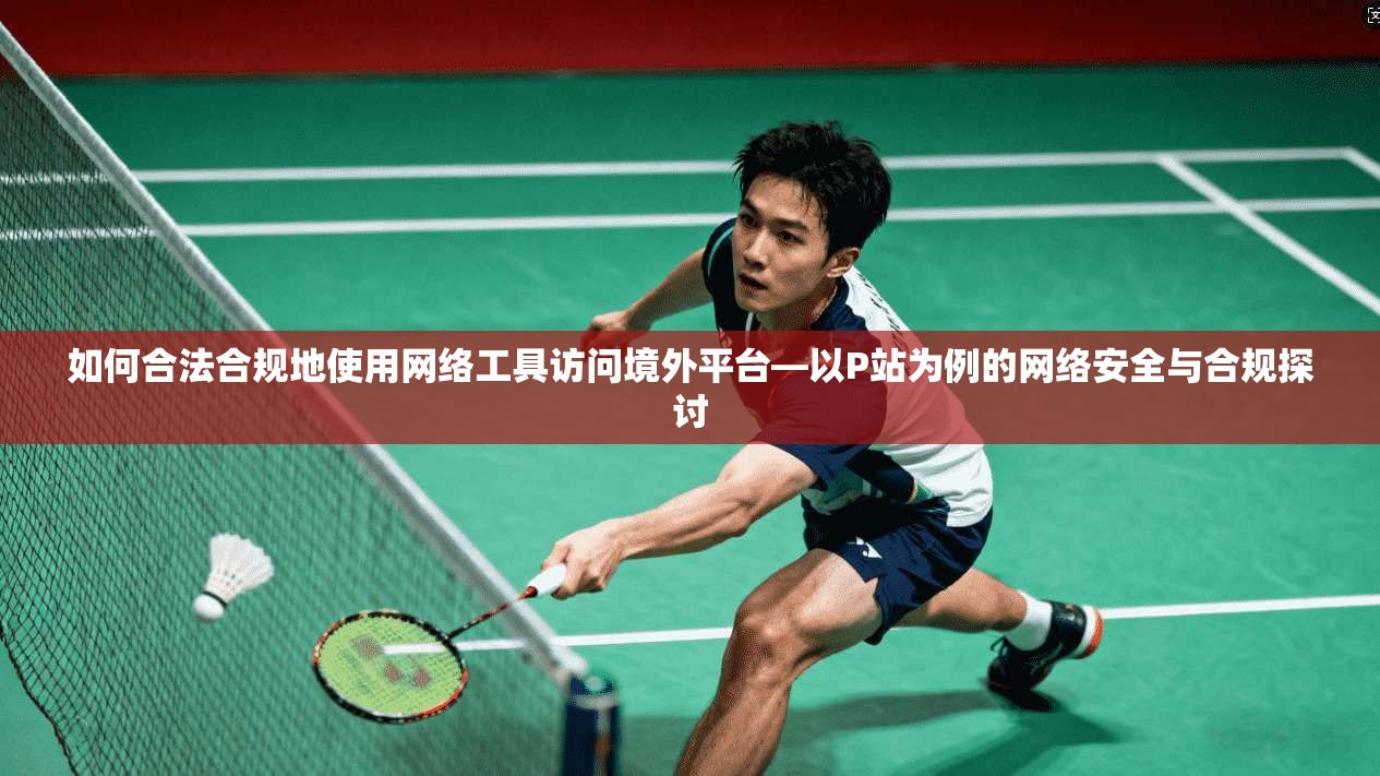 如何合法合规地使用网络工具访问境外平台—以P站为例的网络安全与合规探讨  第1张