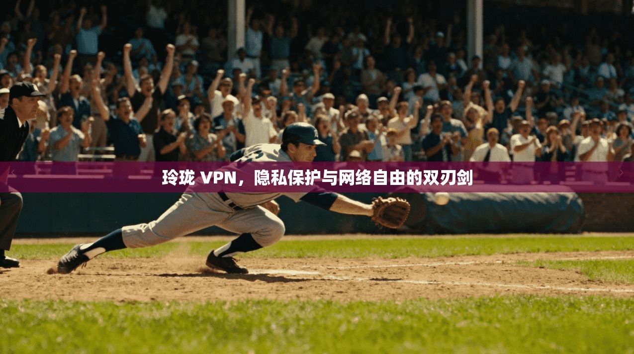 玲珑 VPN，隐私保护与网络自由的双刃剑  第1张