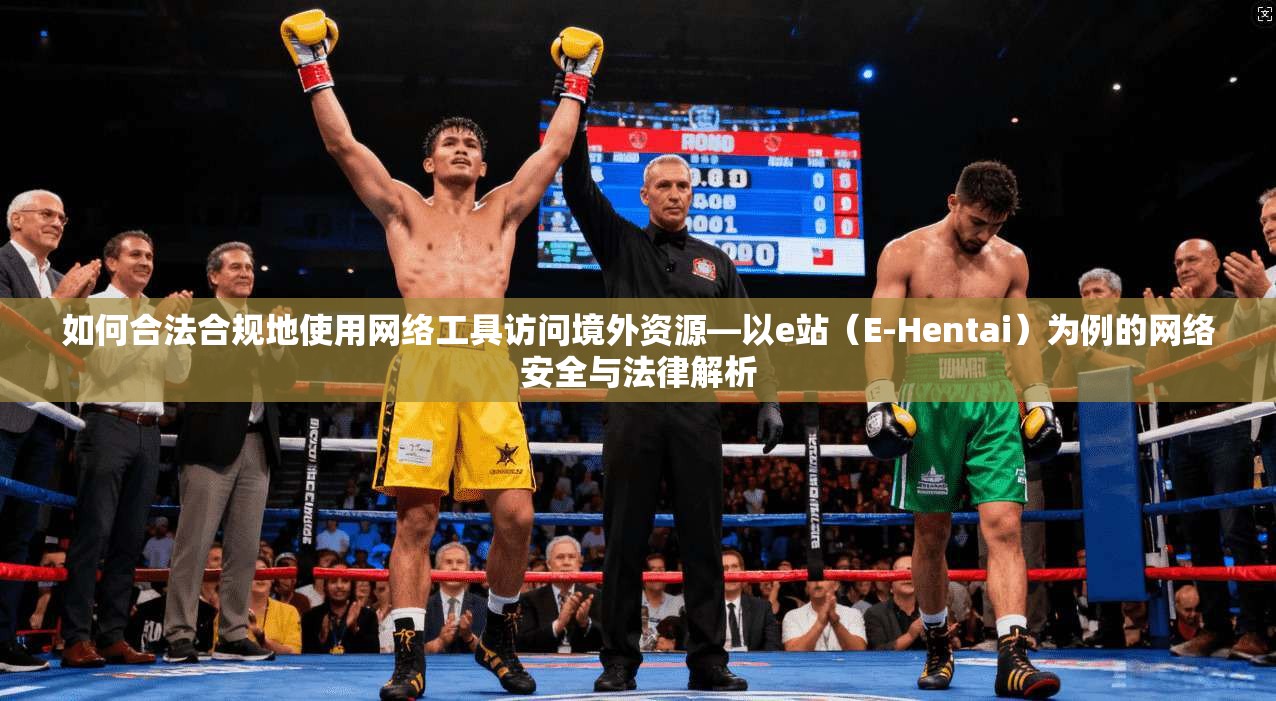 如何合法合规地使用网络工具访问境外资源—以e站（E-Hentai）为例的网络安全与法律解析  第1张