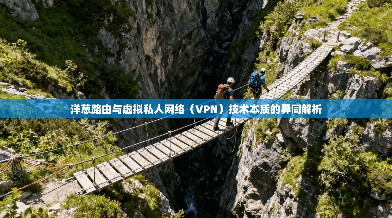 洋葱路由与虚拟私人网络（VPN）技术本质的异同解析  第1张