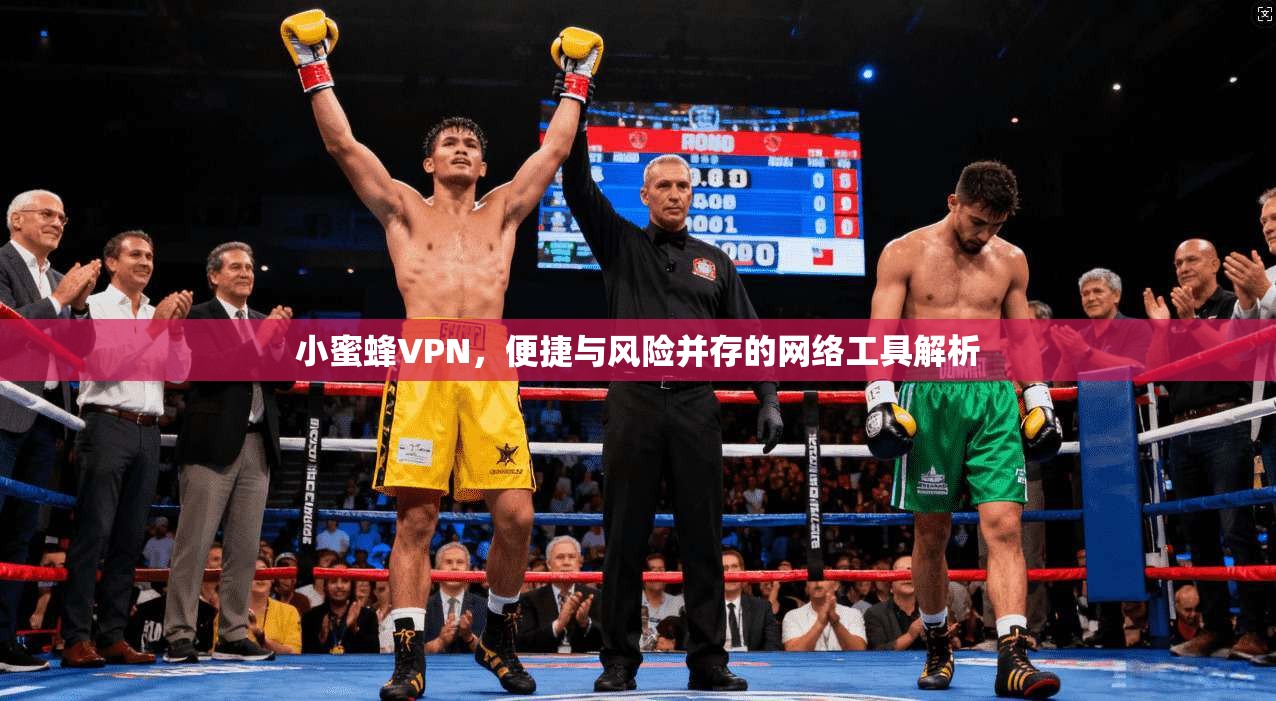 小蜜蜂VPN，便捷与风险并存的网络工具解析  第1张