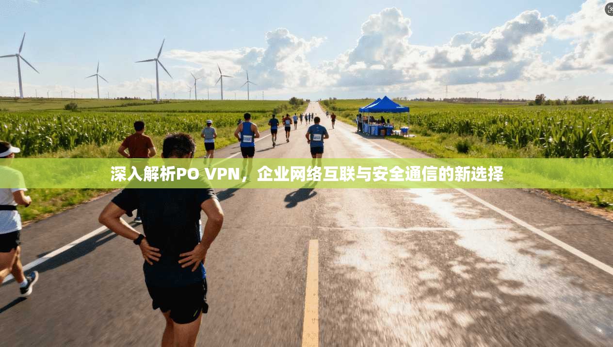 深入解析PO VPN，企业网络互联与安全通信的新选择  第1张