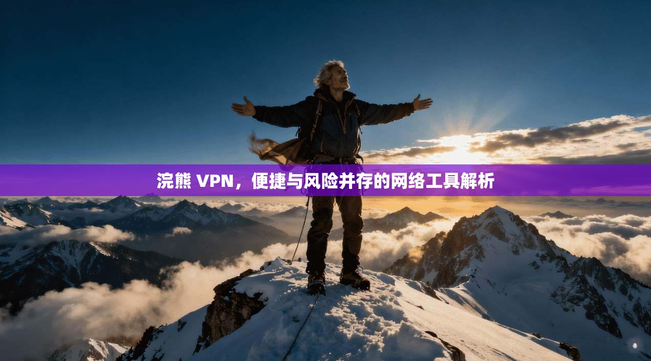 浣熊 VPN，便捷与风险并存的网络工具解析  第1张