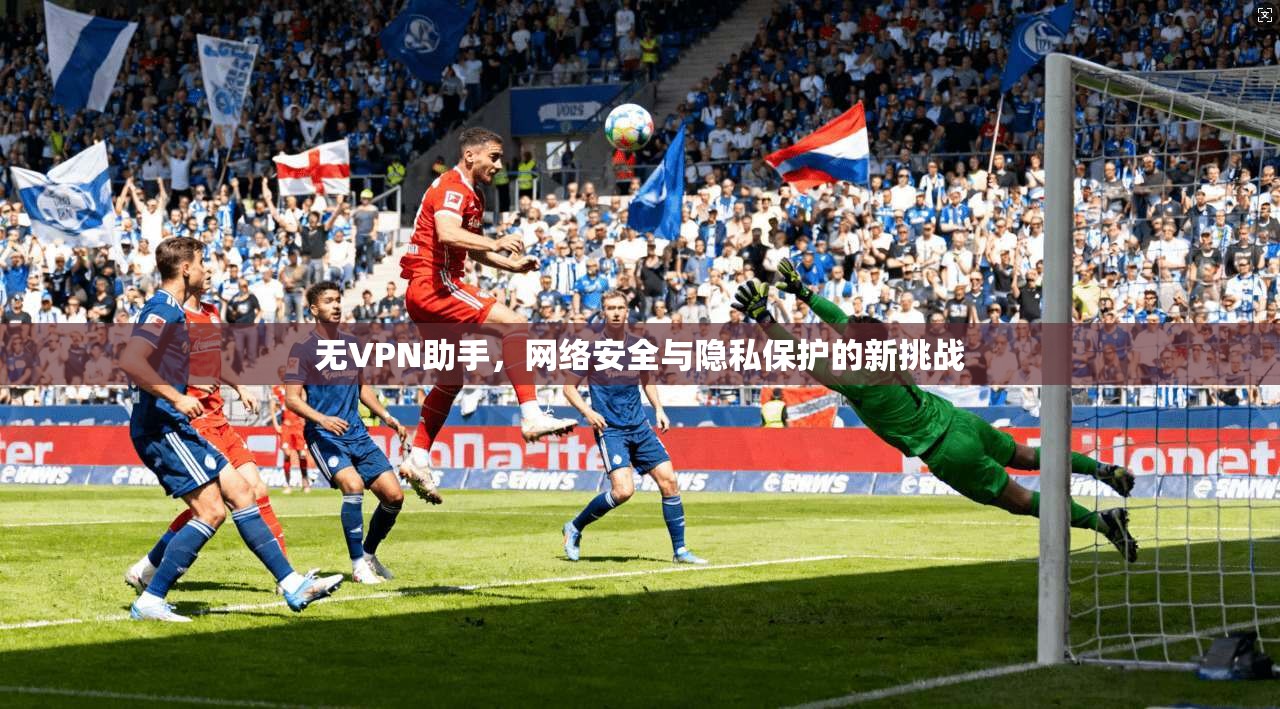 无VPN助手,网络安全与隐私保护的新挑战 第1张 无VPN助手,网络安全与隐私保护的新挑战 第1张