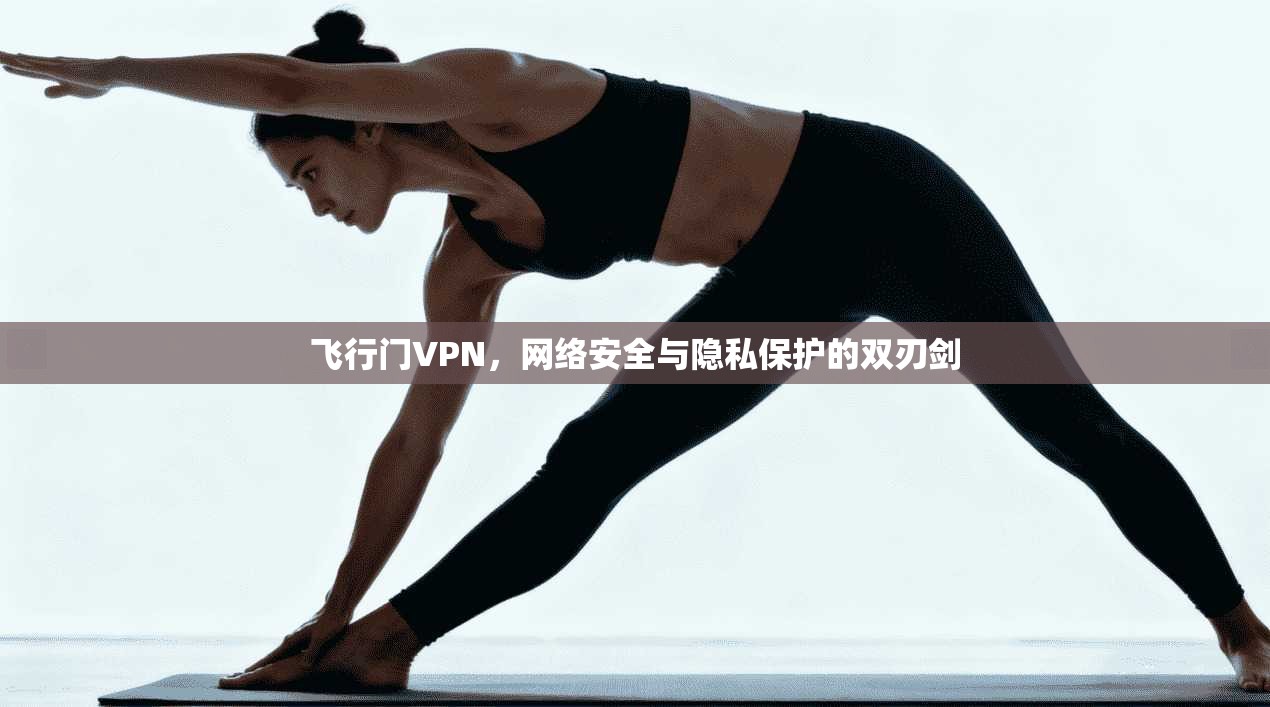 飞行门VPN，网络安全与隐私保护的双刃剑  第1张