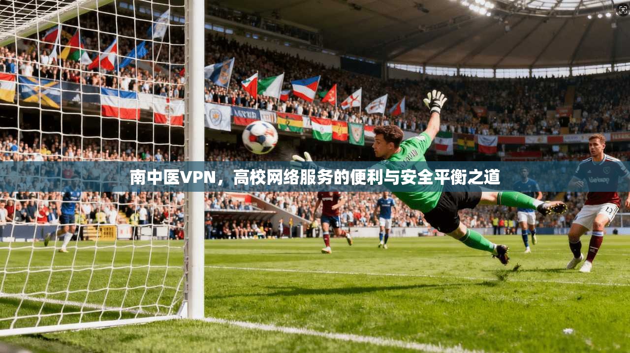 南中医VPN，高校网络服务的便利与安全平衡之道  第1张